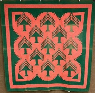 Christmas Feathered C 1880 - 1900 " Green Tree " Quilt Antique Mennonite Pa