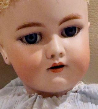 Antique 22 " Dep Handwerck German Bisque Doll,  C1890,  Perfect Bisque