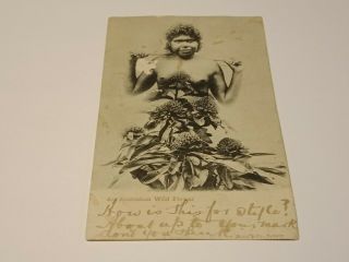 Early Australian Aboriginal Postcard 