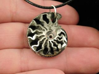 A Polished 100 Natural PYRITE Ammonite Fossil Pendant From Russia 8.  01 e 3