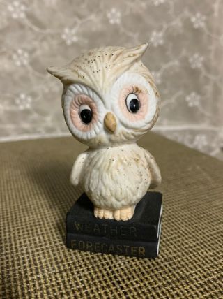 1975 Enesco Weather Forecaster Owl Figurine B - 5959