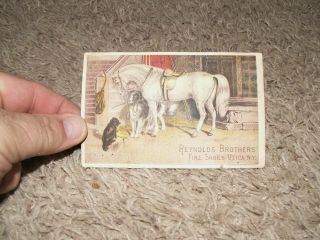 Peal & Winter Racine Wi Reynodls Brothers Shoes Victorian Trade Card
