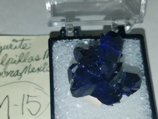 7.  3g Sharp Gem Azurite Crystals w Malachite Milpillas Mexico Mineral Specimen 3