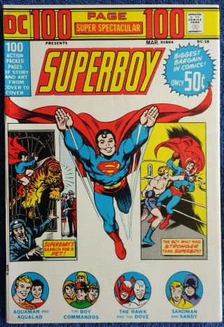100 - Page Spectacular Dc - 15 Superboy Aquaman Hawk & Dove Kirby