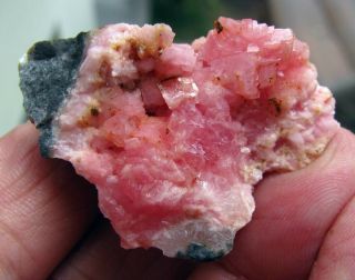 Rhodochrosite Red To Pink Cubic Crystals On Matrix From Peru.  Piece.