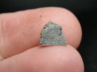 Meteorite Nwa 12269 Achondrite Martian Shergottite - 12269 - 0019 - 0.  25g