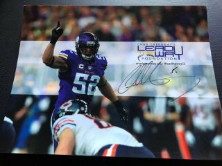 Chad Greenway Minnesota Vikings Signed Autograph 8x10 Photograph