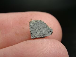 Meteorite Nwa 12269 Achondrite Martian Shergottite - 12269 - 0018 - 0.  24g