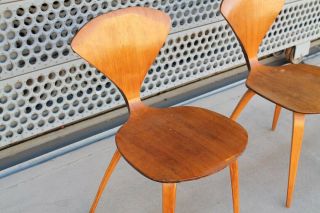 Walnut Norman Cherner Plycraft Side / Dining Chairs Mid Century 1950s 3