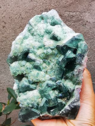 Rare Translucent Green Cube Fluorite Mineral Specimen 918g