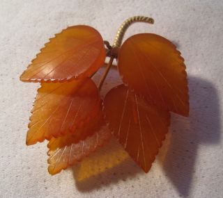 Vintage Russian Signed Carved Amber Leaves Leaf Cluster Brooch Pin