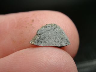 Meteorite Nwa 12269 Achondrite Martian Shergottite - 12269 - 0016 - 0.  27g