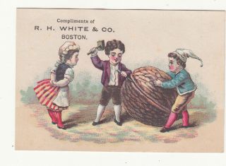 R H White & Co Boston Children Cracking A Walnut Nut Vict Card C1880s