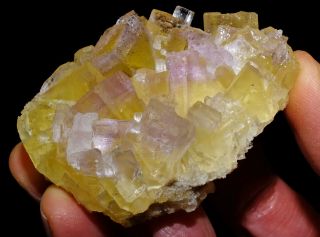 Yellow And Purple Fluorite Crystals,  Mineral From Cave - In - Rock Dist. ,  Illinois