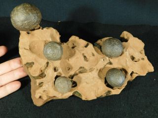 Five Moqui Marbles On A Big Natural Navajo Sandstone Formation Utah 1763gr E