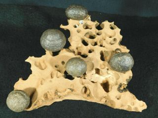 Five Moqui Marbles On A Big Natural Navajo Sandstone Formation Utah 1400gr E