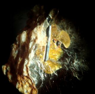 Columbite - (fe) Rare Mineral In Mica,  Tollgate Quarry,  Ct,  Ex.  Rothenberg,  Micro