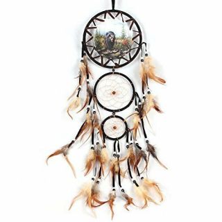 Dream Catcher Hanging Ornament With Feathers (bear)