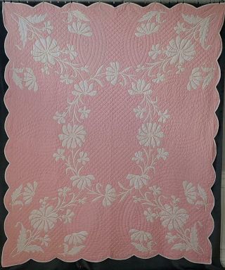 Gorgeous Vintage Pink & White Applique Daisies Quilt 91x74 " Romantic Cottage