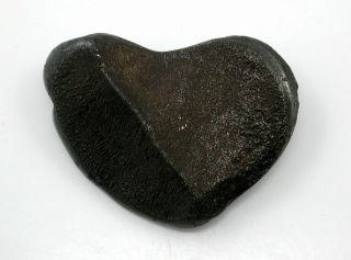 Example Sculptural And Oriented Sikhote Alin Meteorite 8.  0g - A Heart