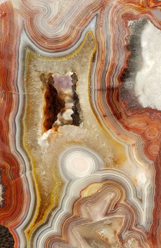 Mexican Crazy Lace Agate Rough Lapidary Self Standing Display