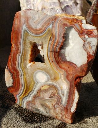 mexican crazy lace agate rough Lapidary self standing display 2