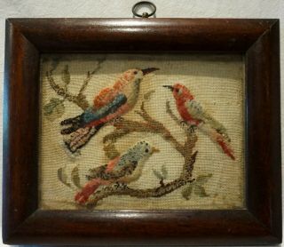 Small Mid 19th Century Plush Work Of Three Colourful Birds On A Branch - C.  1850