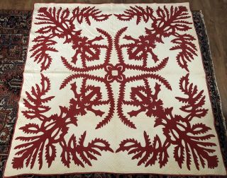Antique Ca 1890 Red & White Hawaiian Quilt All Hand Quilted 80 X 75 9 Spi Aafa