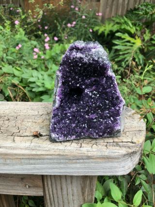 Large Grade A Uruguayan Amethyst Cluster (2lb 1oz) - 5 Inches Tall -