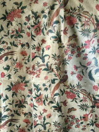 Rare Early 19th C.  Cotton Chintz French Bird,  Floral Print (2874) 3