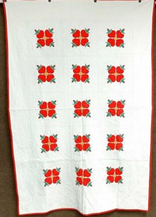Twins Vintage Red Rose Applique Quilts Quilting
