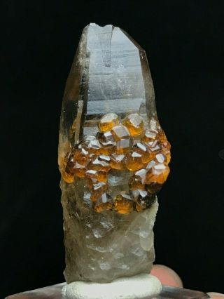 12g Natural Gules Fanta Spessartine Garnets Smoky Quartz Crystal Specimen Fujian