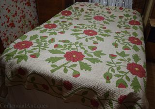 Antique - Red Green - Rose Of Sharon - Applique Quilt - 88 " X 86 " - Late 1800s