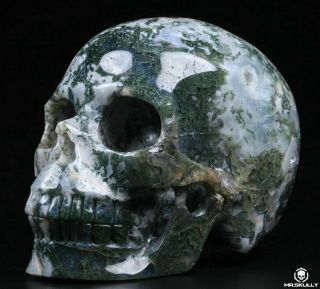 Huge 4.  5 " Green Moss Agate Carved Crystal Skull,  Realistic,  Crystal Healing