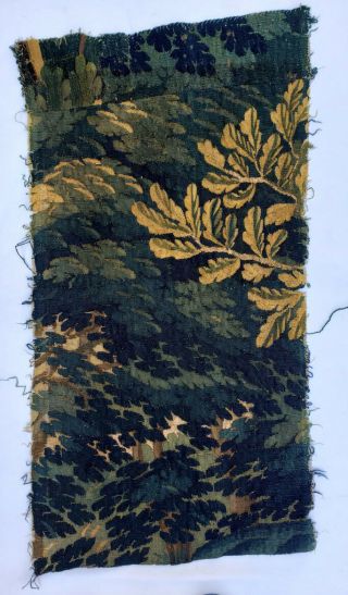 A Good 18th Century Verdure Tapestry Fragment