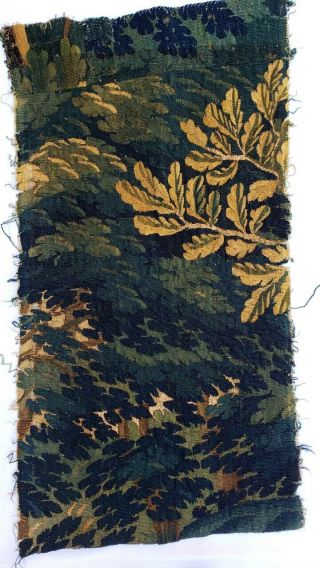 A Good 18th Century Verdure Tapestry Fragment 2