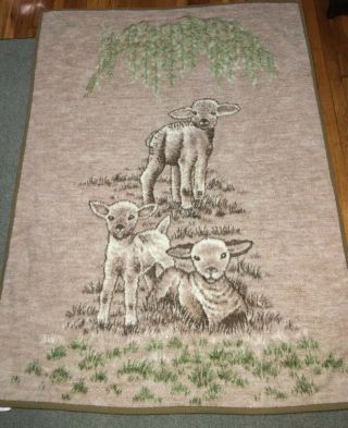 Lambs Adorable 54” X 72” Large Soft Vtg Biederlack Of America Blanket Brown