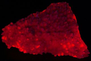 Almost 4 Pounds & 7 1/2 Inches Wide - Fluorescent Mangano Calcite