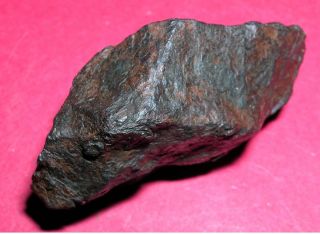 Canyon Diablo meteorite - 81.  6 gram individual 2