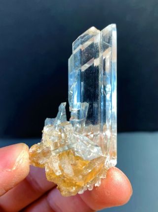 Gem Clear Gypsum Var.  Selenite Crystals: Cave Of Swords.  Naica,  Mexico