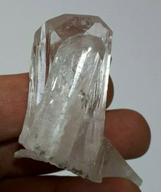44gr.  Gemmy Pink Danburite Crystal Cluster.  La Aurora - Charcas.  Mexico