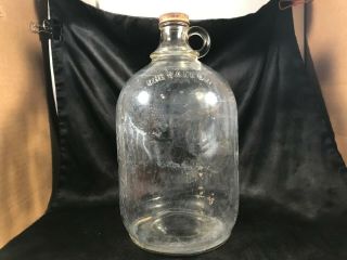 Vintage Knox Glass 1 Gallon Embossed Grapes Clear Glass Jug Bottle