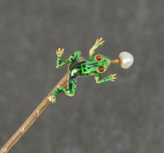 Novelty Victorian Frog Enamel 9ct Gold Stick Pin In Antique Box D1915