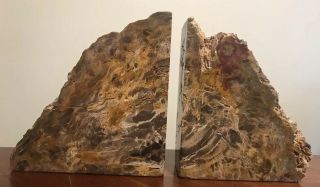 Petrified Wood Bookends - Polished Felted - 12 Lbs 12 In X 7 In