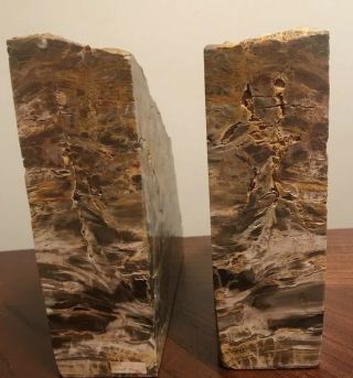 Petrified Wood Bookends - Polished Felted - 12 Lbs 12 in x 7 in 3