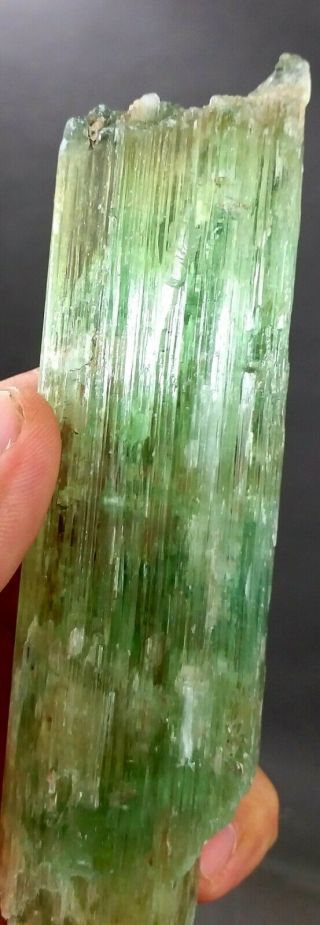 712 Carat Top Quality Lush Green Hiddenite Kunzite Crystal @afg