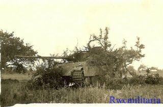 RARE KO ' d German Elite Pzkw.  V Panther Panzer Tank 