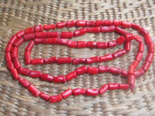 Very Rare Antique Natural Blood Red Coral Necklace Victorian Style