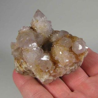 2.  9 " Spirit Amethyst Cactus Quartz Crystal Cluster - Magaliesburg,  South Africa