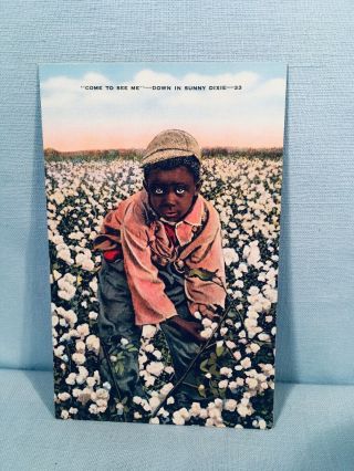 Vintage Linen Postcard Black Americana Boy Cotton Picker Down In Sunny Dixie